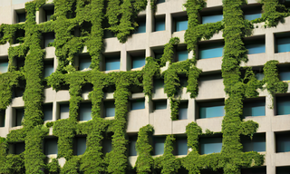 brutalist_concrete_building_covered_with_climbing__seed_9057_steps_1.png