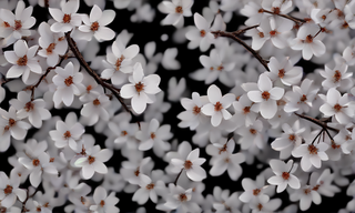 cherry_blossom_petals_drifting_through_outer_space_seed_9950_steps_1.png