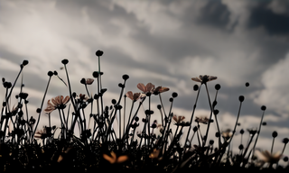 spring_flowers_blooming_on_a_small_planet_high_con_seed_1013_steps_1.png