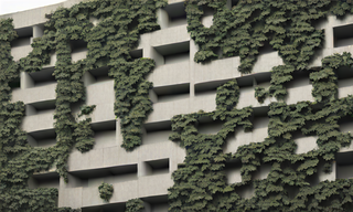 brutalist_concrete_building_covered_with_climbing__seed_1802_steps_1.png